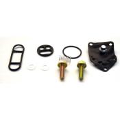 Kit réparation de robinet d'essence TOURMAX GSF-ZR100 FCK-21