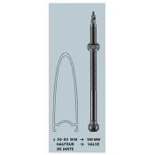 VALVE TUBELESS SCHWALBE ALU NOIR 100MM (X2) AV.DEMONTE OBUS