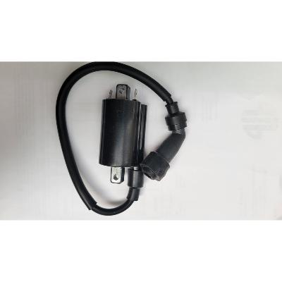  Bobine d'Allumage Haute Tension Origine ORCAL 125 Euro 496200J280000