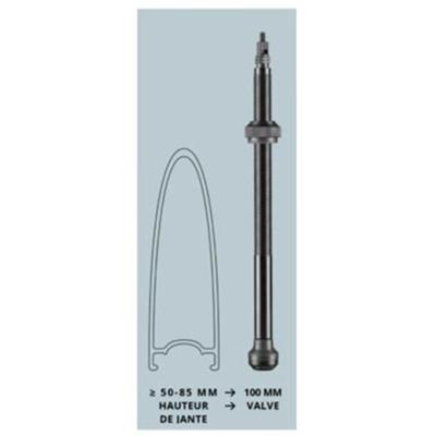 VALVE TUBELESS SCHWALBE ALU NOIR 100MM (X2) AV.DEMONTE OBUS