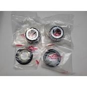 Kit roulements de colonne de direction FACTORY LINKS  SSK-T-068 BETA / SHERCO