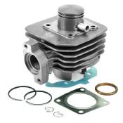Kit cylindre TECNIUM - Peugeot - LUDIX 50 2T
