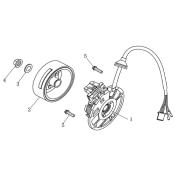 Stator ou rotor ORCAL KITE 2T 